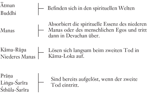 TP 6 Diagramm 2